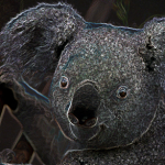 Koala Profile Image With Glow Edges